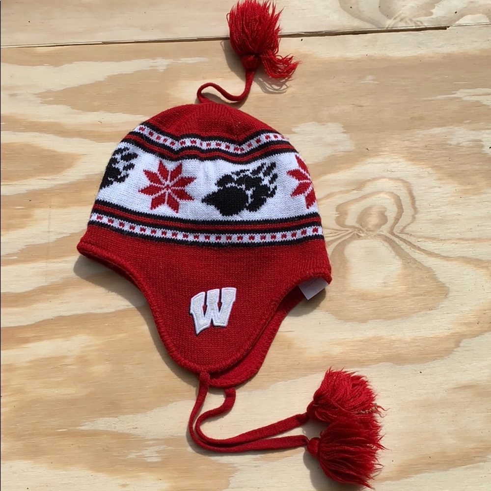 Wisconsin badgers winter hat